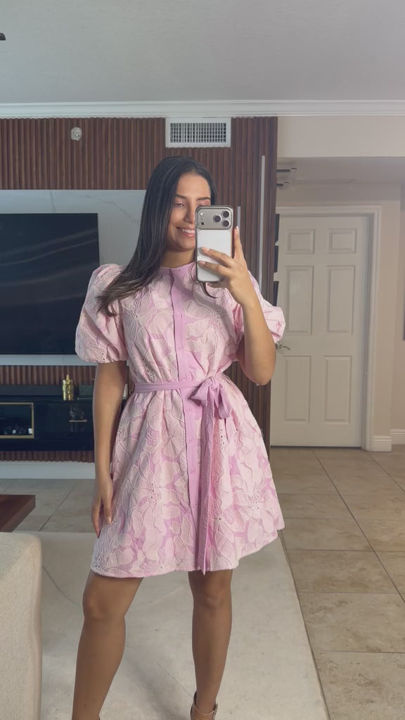 Rose Embroidered Pink Short Dress